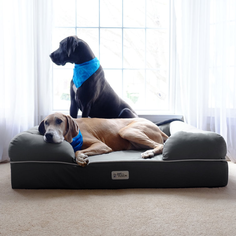 PetFusion Ultimate Dog Bed Replacement Cover Reviews Wayfair